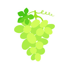 Wall Mural - White grape cluster with a leaf. Vector flat illustration isolated on white.