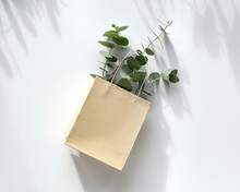 Craft Bag With Wintertime Eucalyptus Twigs. Copy-space On Brown Cardboard Paper Bag. Winter Flat Lay With Natural Evergreen Twigs In Gift Bag.