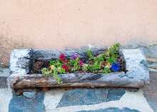 Recycled Log As A Planter With Red, Blue, Purple And White Flowers With Slate Floor And Earth Colored Wall