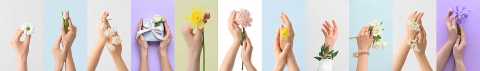 Collection of female hands with different spring flowers on color background