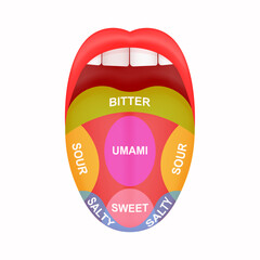 Sticking out tongue with map marked bitter, sour, salty, sweet and umami zones. Myth of human taste buds. Open human mouth isolated on white background. Vector cartoon illustration