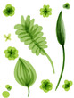 観葉植物のパターン　グリーン