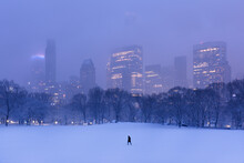 Central Park Winter Skyline