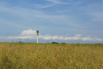 Wall Mural - Funkstation mit Turm an der Küste der Ostseeinsel Fehmarn	