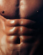 © Volodymyr - Attractive male sexy wet body. Muscular sixpack , closeup body. Banner templates with muscular man, muscular torso, six pack abs muscle.