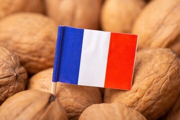 Canvas Print - Flag of France on walnuts. Concept of growing walnuts in France