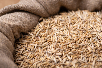 Canvas Print - Sack of high-quality oat grain. Concept of oat harvest