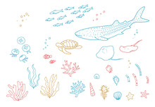 手描きのかわいい海洋生物　水族館　海の生き物装飾イラストセット