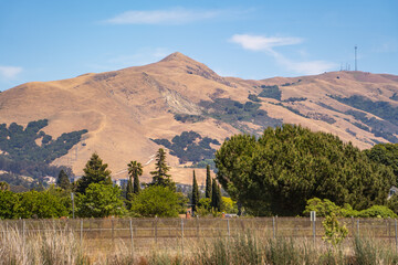 Wall Mural - Scenic view of Mission Peak, Fremont Central Park. 