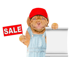 Poster - Puppy wearing  red cap and overalls shows empty list and sales symbol. Isolated on white background