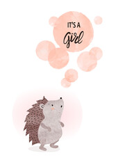 Wall Mural - Baby shower girl card design with cute baby hedgehog. Vector watercolor illustration.