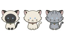 Cute Cats Illustration With Plain White Background