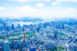 © maroke - 東京タワー・空撮写真