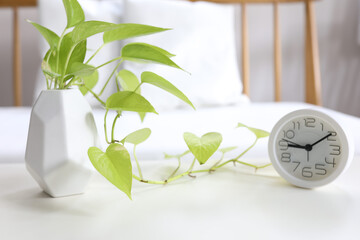 Wall Mural - Green jade goden pothos plant and white clock