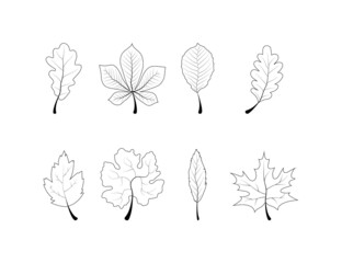 Wall Mural - leaf line vector icon. leaves vector icons set. vector illustration