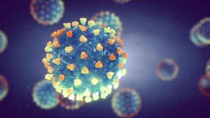 Wall Mural - The Coronavirus (Cov-2) is a highly infectious virus that causes severe acute respiratory syndrome(SARS). Animation of coronaviruses in infected organism