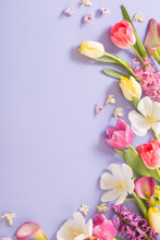 Multicolored Spring Flowers On  Purple Background