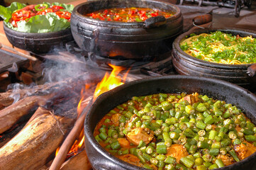 Wall Mural - Chicken stew with okra