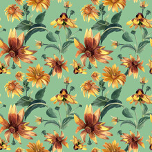 Watercolor Seamless Pattern With Summer Flowers. Large Rudbeckia Flowers, Elegant Pattern.