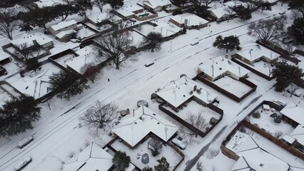 Wall Mural - Aerial view senior lady in warm down jacket walking dog along residential street covered in heavy snow suburbs Dallas, Texas, America. Shingle roof, backyard, houses under frozen icy cold weather