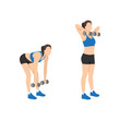 Woman doing deadlift upright row exercise. Flat vector illustration isolated on white background