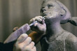 Man sculptor creates sculpt bust human woman sculpture with hammer. Statue craft creation workshop.