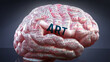 Art in human brain, hundreds of crucial terms related to Art projected onto a cortex to show broad extent of this condition  and to explore important concepts linked to Art, 3d illustration
