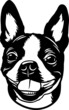 Boston Terrier - Funny Dog, Vector File, Stencil for Tshirt