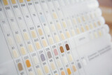 Fototapeta  - Farbmuster auf Skala für Zähne