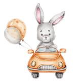 Fototapeta Dziecięca - Cute cartoon bunny in car and balloons; watercolor hand drawn illustration; with white isolated background