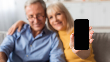 Senior Couple Showing Smartphone With Blank Screen To Camera Indoor