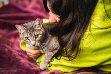 Close Up Shot Of Woman Hugging Her Cat On Purple Blanket