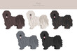 © a7880ss - Puli clipart. Different poses, coat colors set