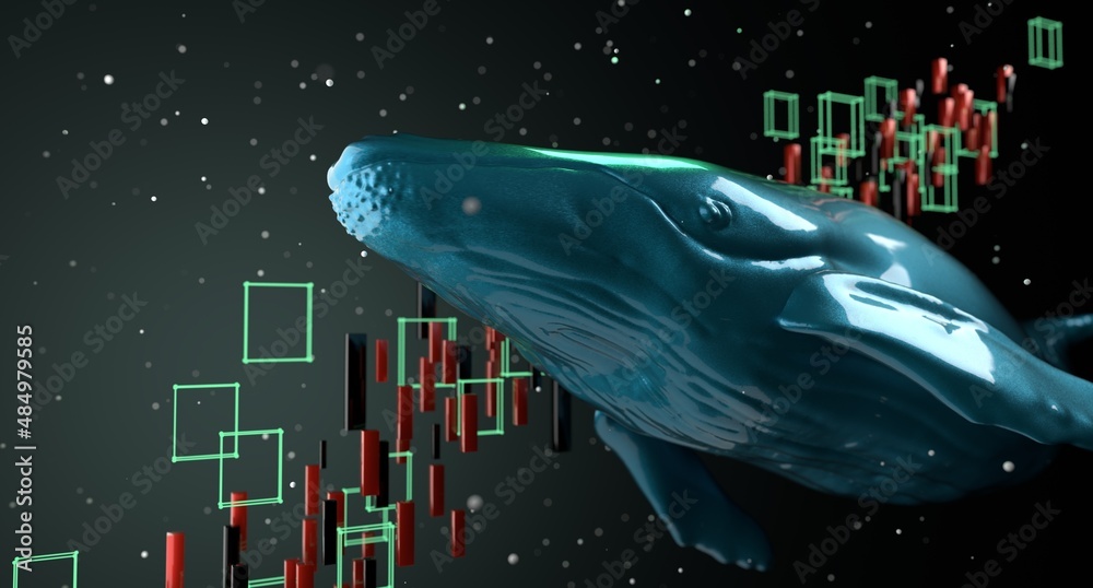 Cryptocurrency whale holder and buyer with soaring stock trading prices