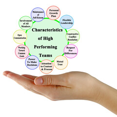 Wall Mural - Characteristics of High Performing Teams