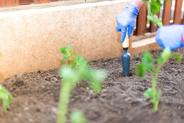 Canvas Print - A high angle of unrecognizable person in gloves working in garden