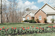 Red tulips and daffodils in front of house with blue sky