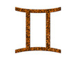 Gemini Zodiac Astrology symbol Golden icon Gold Glitters logo illustration