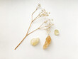 Set of natural resins and twigs of dried flowers , frankincense close-up on a white background