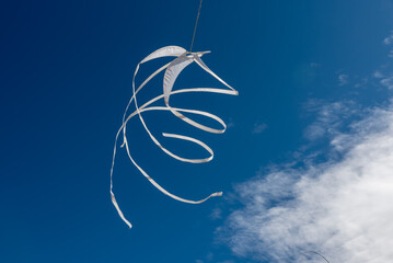 Wall Mural - colorful kites flying over the sky