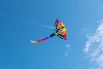 Wall Mural - colorful kites flying over the sky