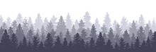 Forest Panorama. Wood Landscape. Variety Of Pine Trees. Vector EPS 10