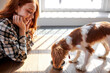 Healthy eating. female giving meal in bowl to a dog King Charles spaniel breed.pretty redhead lady looking at loving pet, on the floor, at home in sunny bright room. animals, people, lifestyle