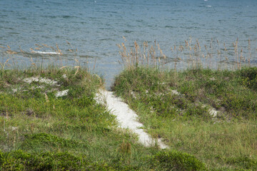 Wall Mural - Sandy path to the beach