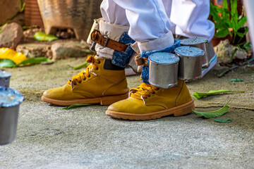 Curious percussion instrument used in some manifestations of popular culture in Brazil. With these rattles tied to their feet, they dance at various religious festivals.