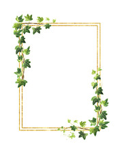 Ivy Branch With Green Leaves Frame, Hand Drawn Watercolor Illustration Isolated On White Background
