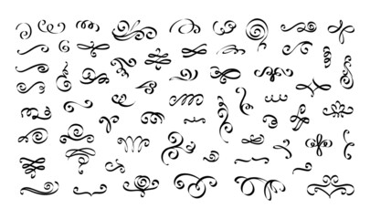 Poster - Flourish ornament elements. Calligraphy decorative fancy swirl drawing. Typography curve swash lines and spirals. Elegant dividers and vignettes. Vector isolated embellish sketches set
