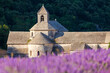 France, Provence Alps Cote d'Azur, Haute Provence, Cistercian monastery of Senanque beside lavender fielddes: Abbay Notre-Dame de Sénanque