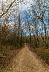 Canvas Print - Chemin bucolique en hiver à Bohas, Ain, France