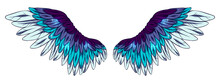 Beautiful Magic Glittery Violet Blue Angel Wings, Color Vector Illustration